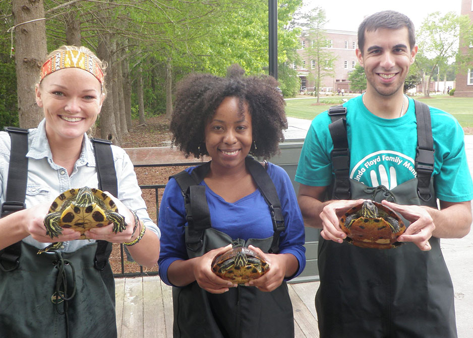 Elementary Education Students with Turtles image